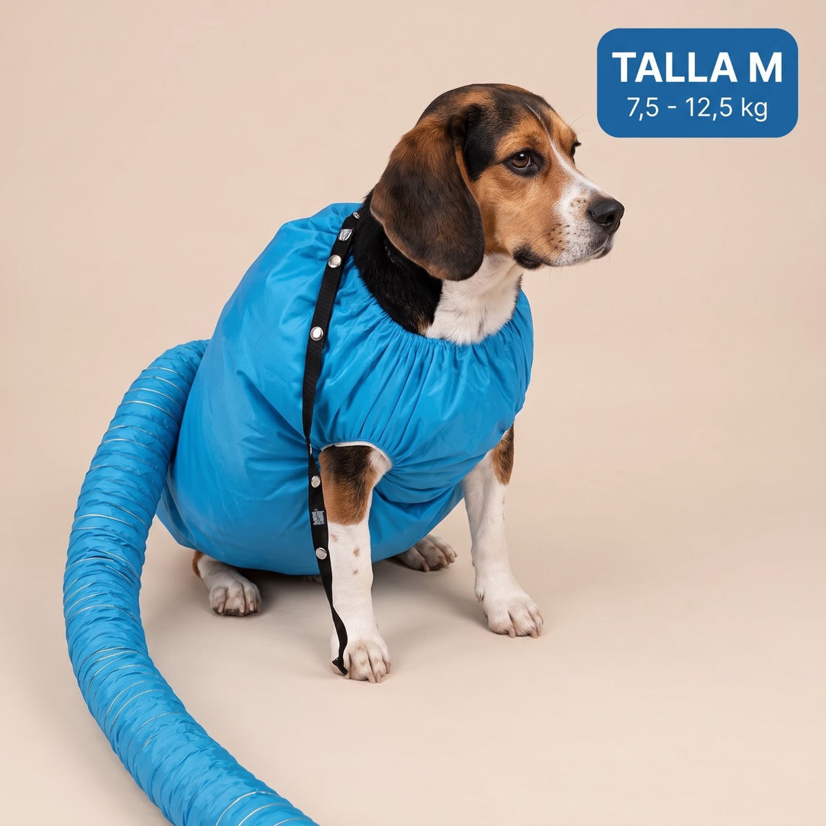 Bolsa secadora Pawdry talla M (7,5 a 12,5 kg) puesta en un Beagle