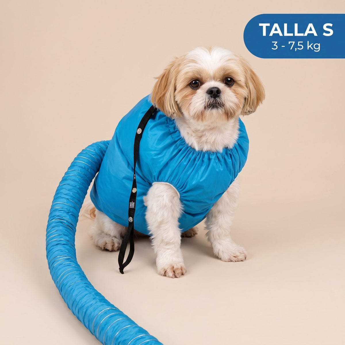 Bolsa secadora Pawdry talla S (3 a 7,5 kg) puesta en un Shih Tzu