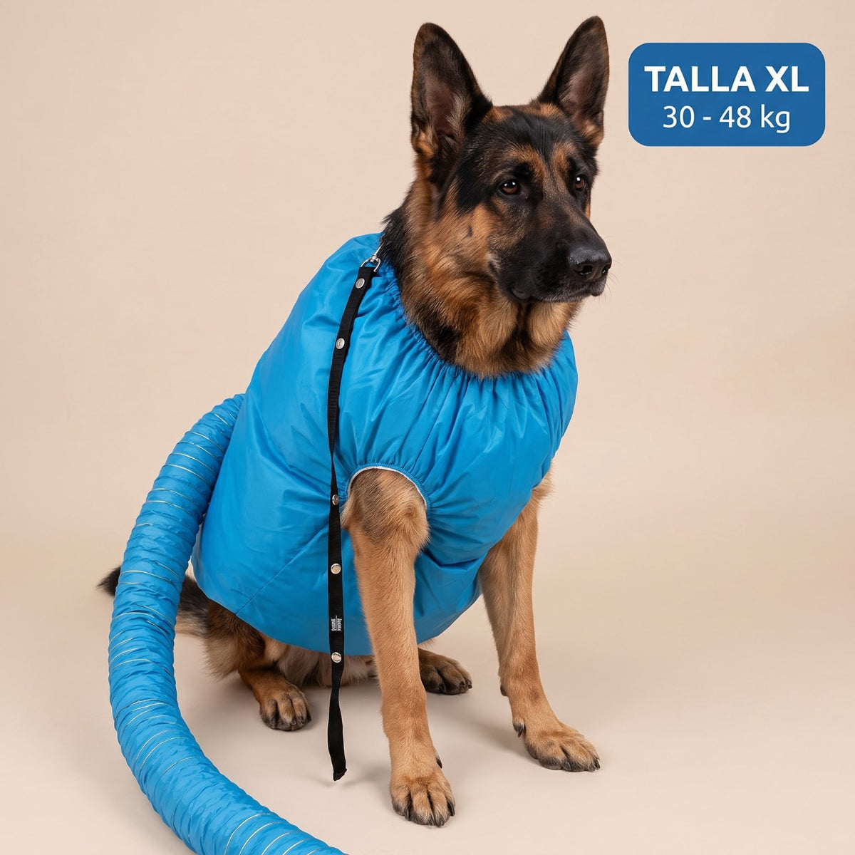 Bolsa secadora Pawdry talla XL (30 a 48 kg) puesta en un Pastor Alemán