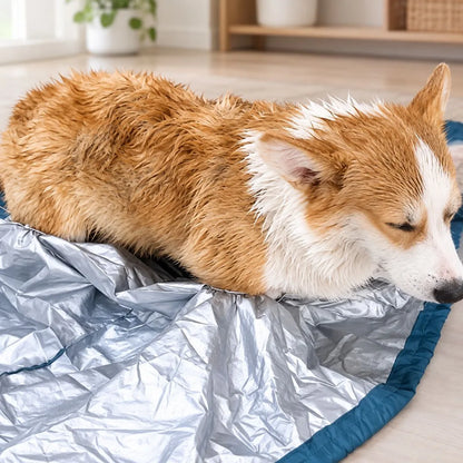 Perro recien banado, mojado, antes de usar la bolsa secadora Pawdry