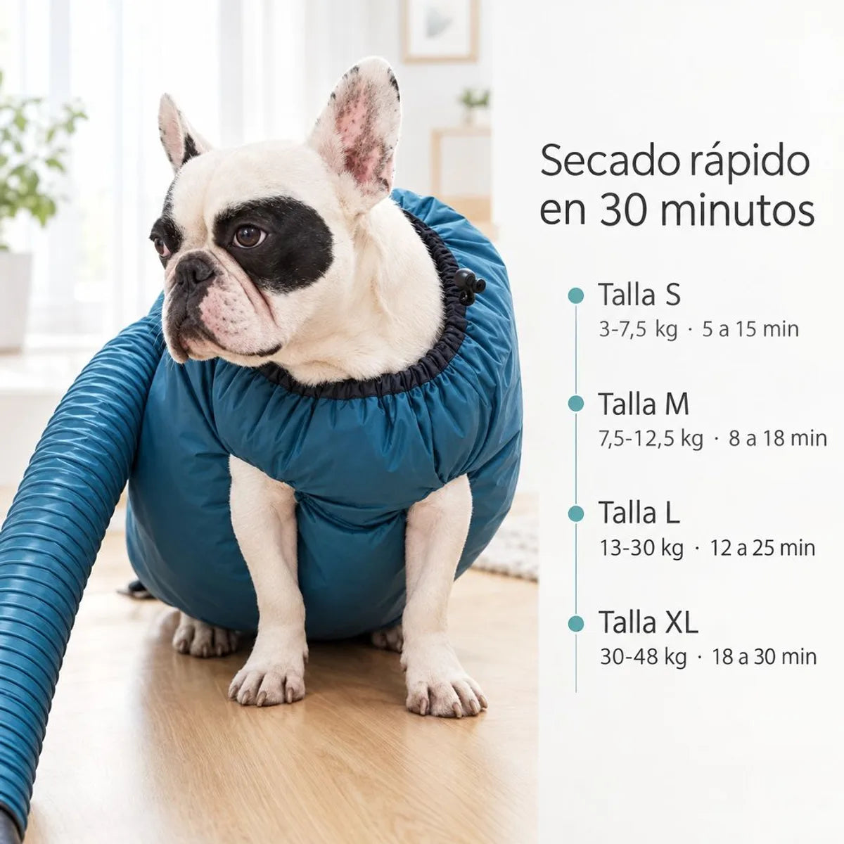 Guia de tallas S, M, L y XL de la bolsa secadora Pawdry para perros segun el peso